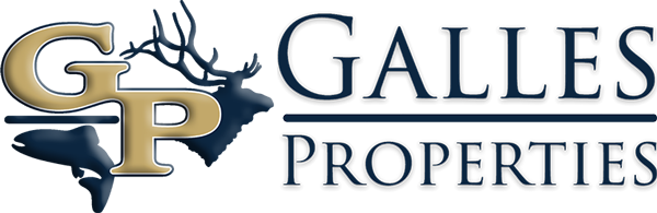 Galles Properties Logo